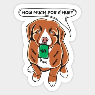 Funny Toller Nova Scotia Duck Tolling Retriever Puppy Needs A Hug Sticker